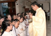 Gx Chính Tòa, 23 bạn trẻ gia nhập Giáo Hội
