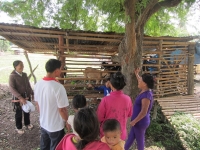 Caritas Phan Thiết hỗ trợ nguồn vốn chăn nuôi dê cho bà con họ Lavang