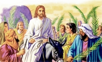 Hành trình Thương khó của Chúa Giêsu ( Lễ Lá )