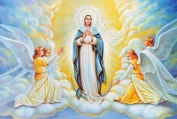 Thông báo: Chương Trình Lễ Mẹ Thiên Chúa - Bổn Mạng Giáo Phận