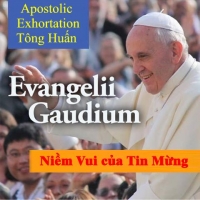 Bài giảng Thánh lễ dưới ánh sáng của Tông huấn Evangelii Gaudium