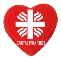 Xin Quý Cha gởi Báo Cáo Hoạt Động của Caritas Giáo Xứ