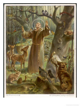 Description: http://luongtamconggiao.files.wordpress.com/2011/10/1227950080_10013975saint-francis-of-assisi-preaching-to-the-animals-posters.jpg?w=338&h=450