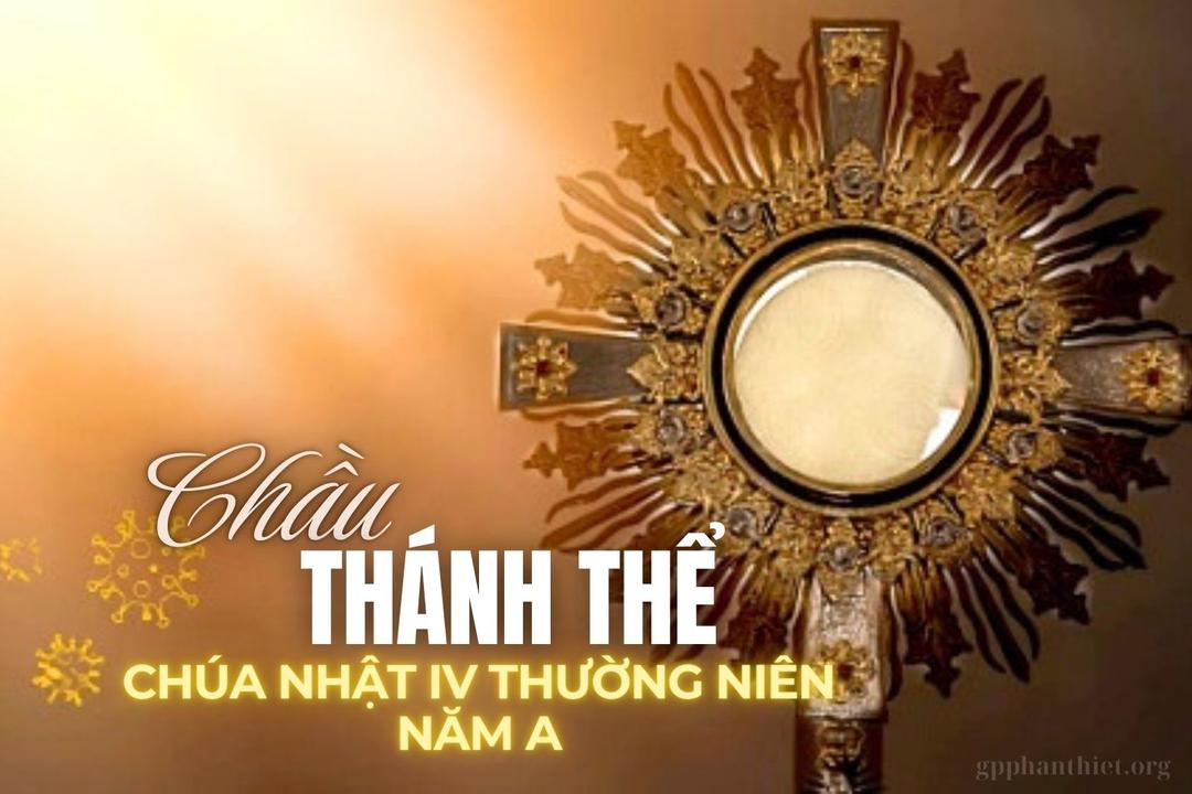 Chầu Thánh Thể – Chúa Nhật 4 Thường Niên, Năm A