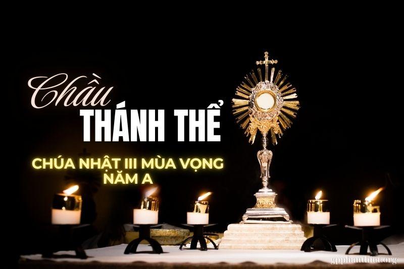 Chầu Thánh Thể – Chúa Nhật 3 Mùa Vọng, Năm A
